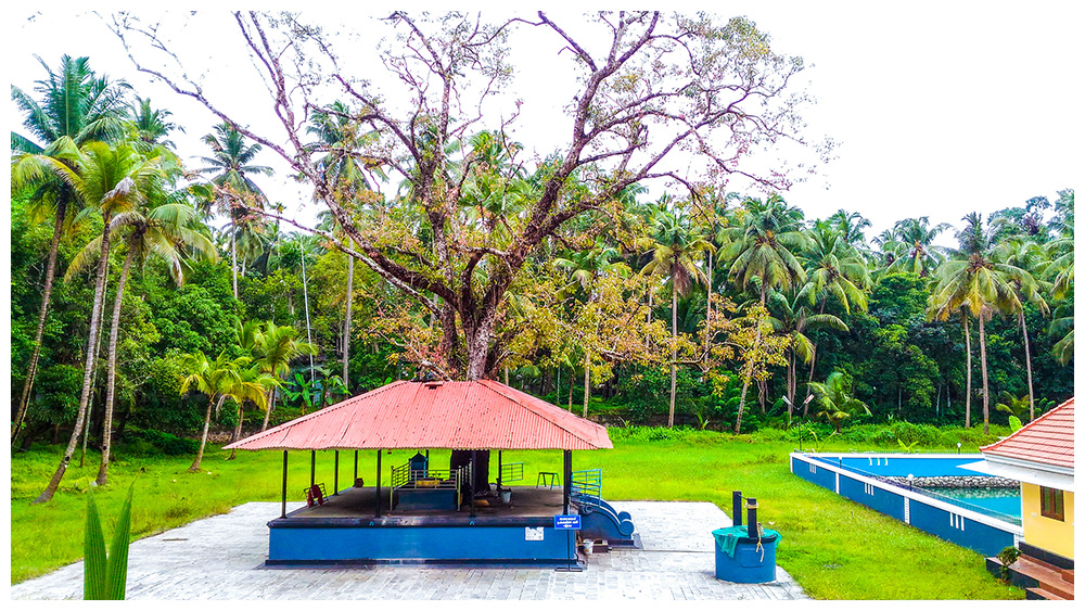 Kothakulangara Bhagavathy Temple