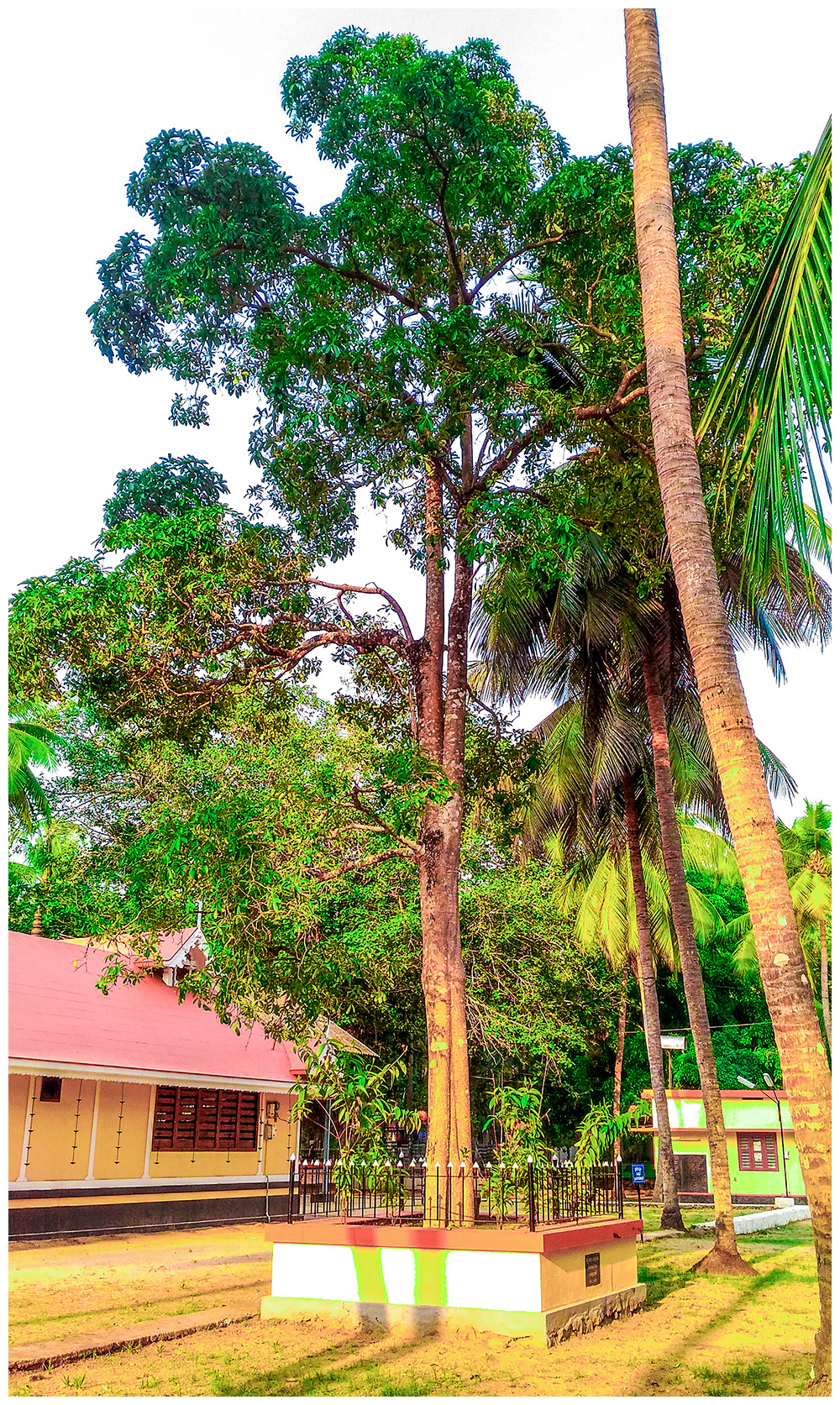 Kothakulangara Bhagavathy Temple