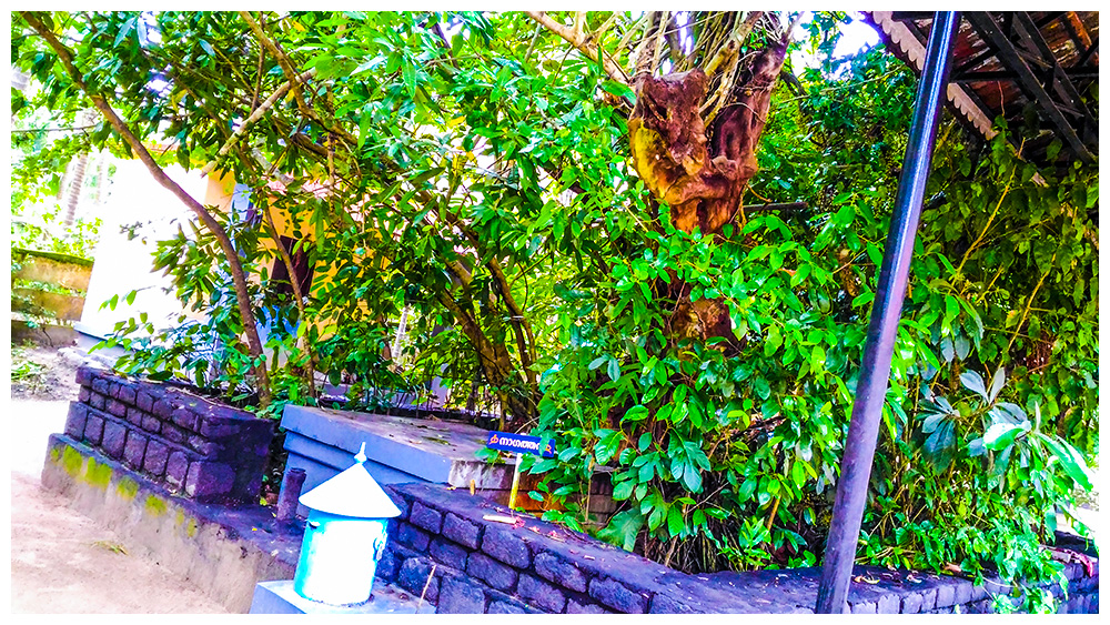 Kothakulangara Bhagavathy Temple